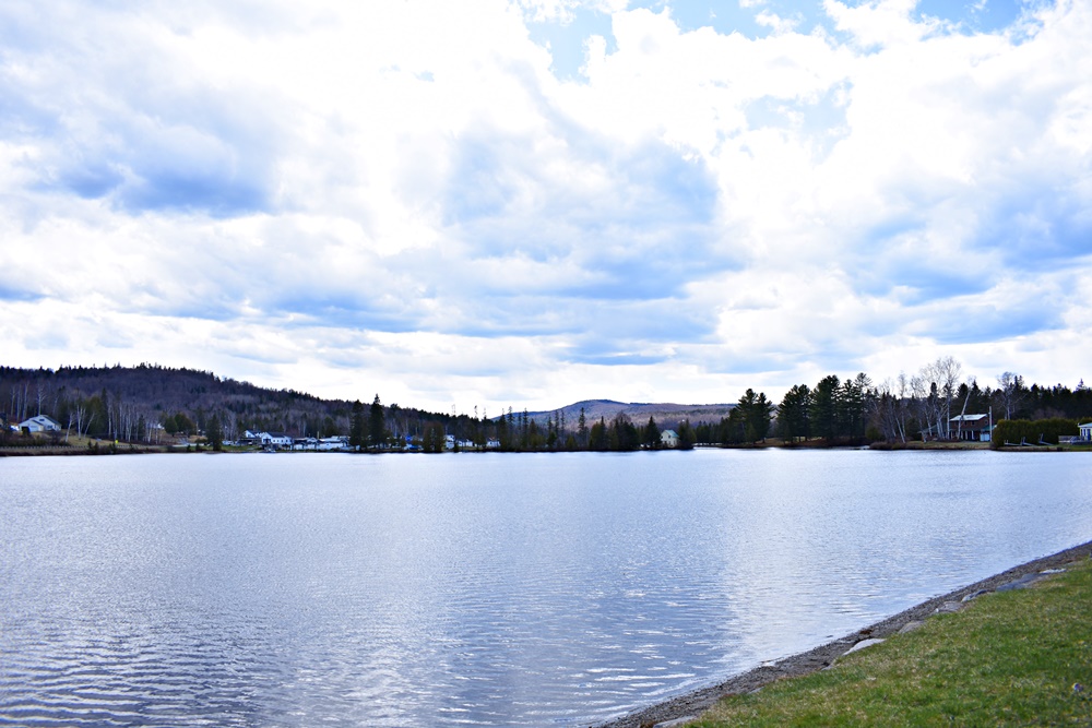 Joe's Pond VT Real Estate for Sale CENTURY 21 Farm & Forest